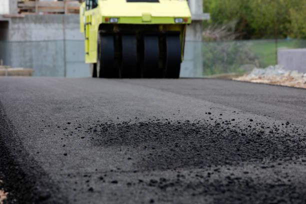Best Driveway Pavers for Homes  in Sawgrass, FL